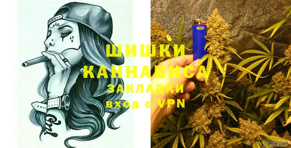трава Белокуриха