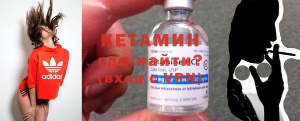 трава Белокуриха