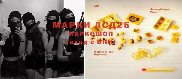 трава Белокуриха