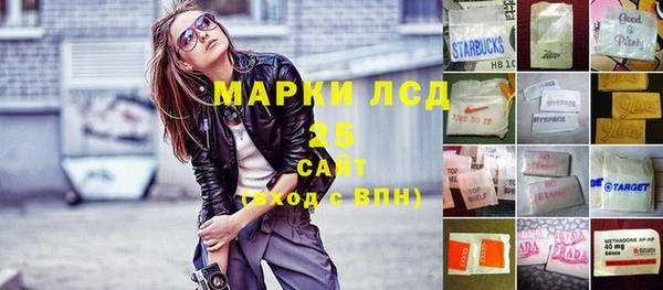 трава Белокуриха