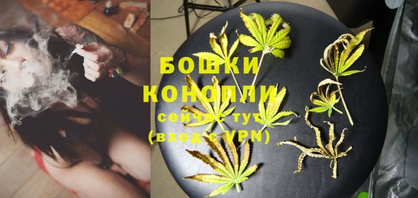 трава Белокуриха