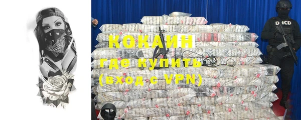 трава Белокуриха